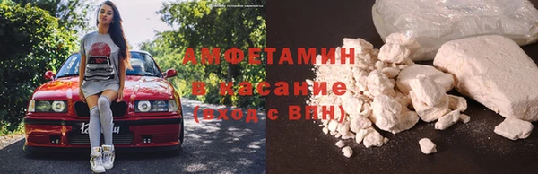 стаф Абаза
