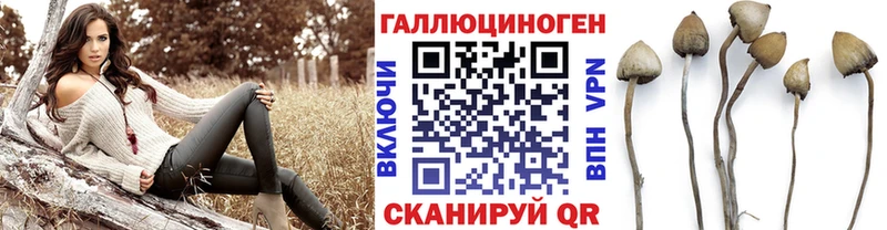 Галлюциногенные грибы прущие грибы где продают Сорск